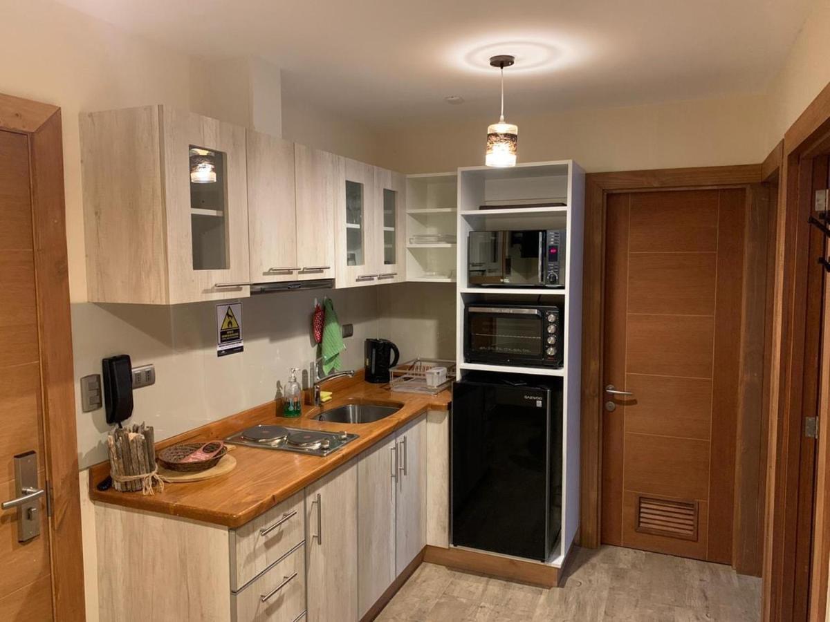 Entre Cumbres Apart Hotel Coyhaique Dış mekan fotoğraf