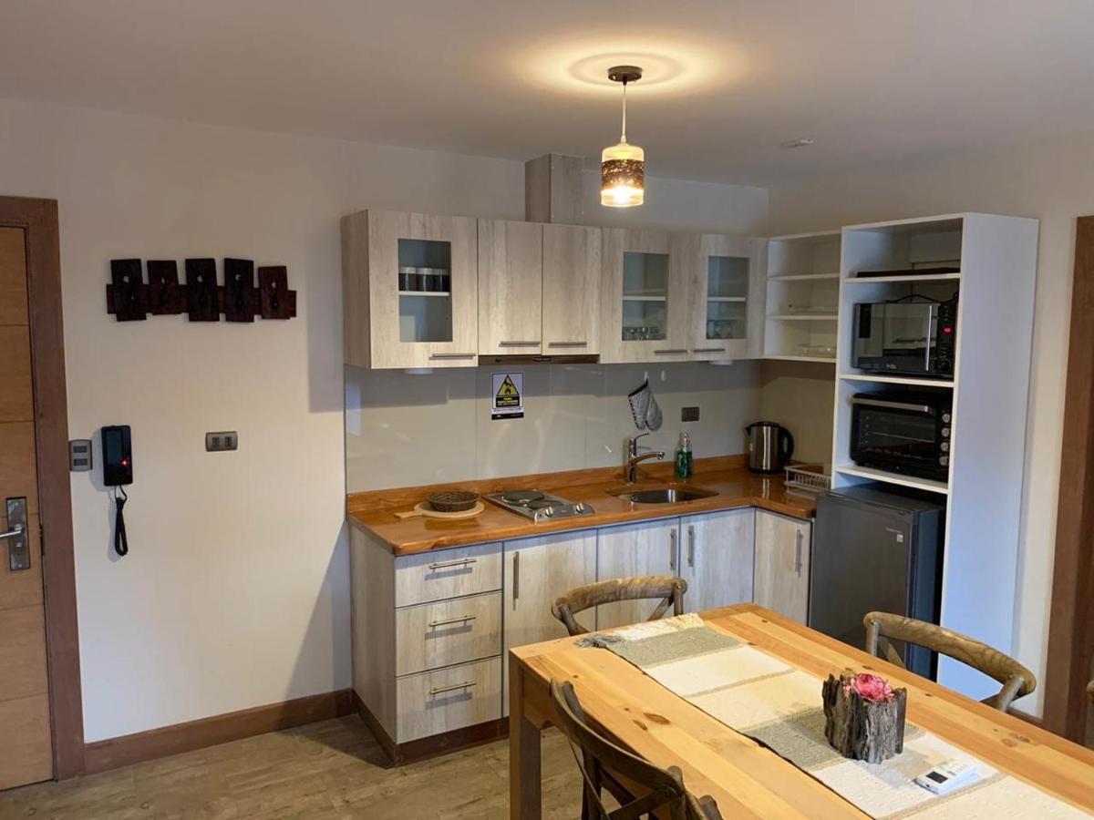 Entre Cumbres Apart Hotel Coyhaique Dış mekan fotoğraf